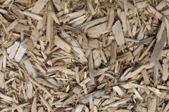 biomass boilers Codrington